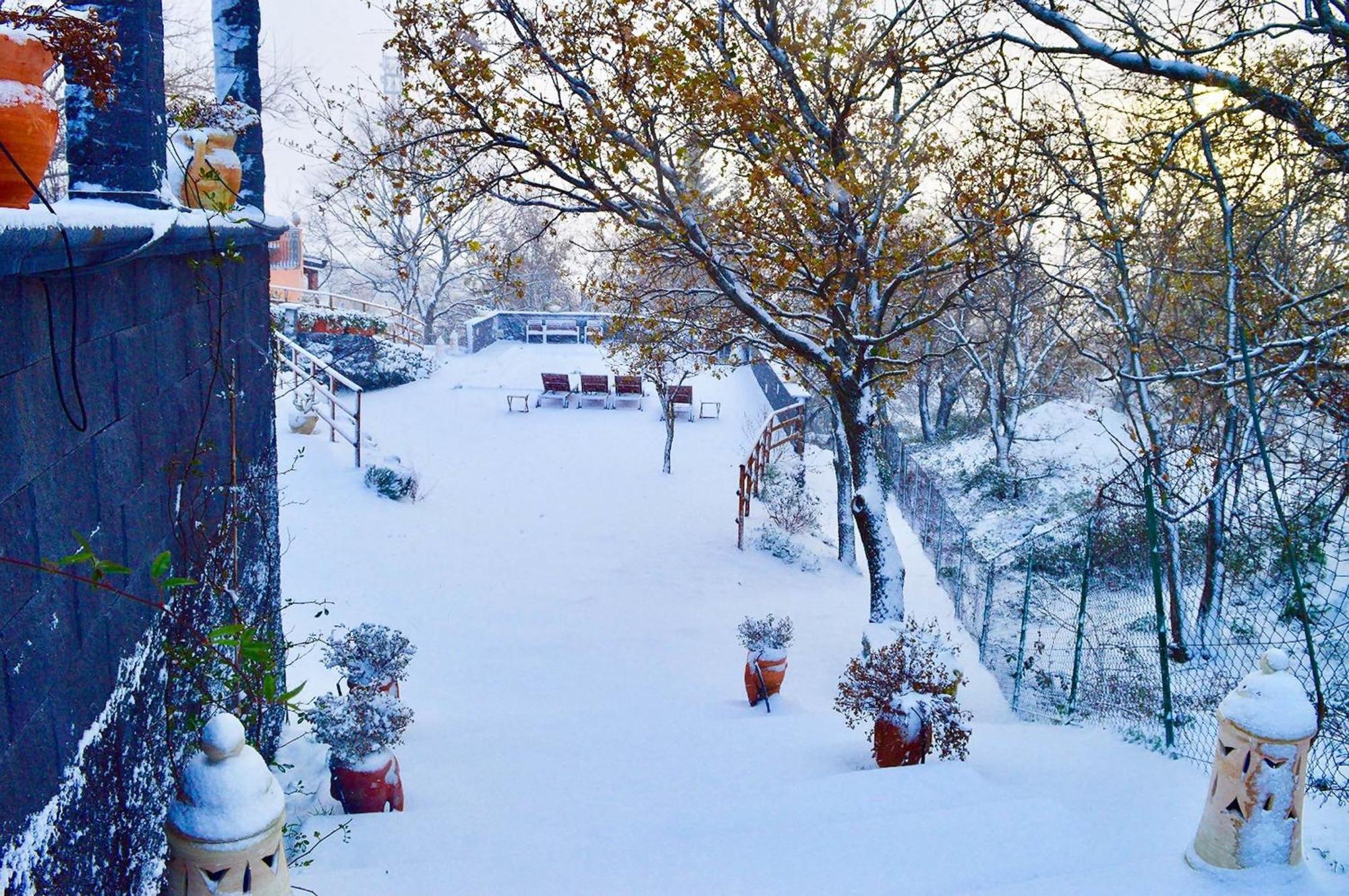 Villa Del Gelso Chalet Nel Parco Delletna Маскали Экстерьер фото